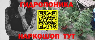 спайс Кандалакша