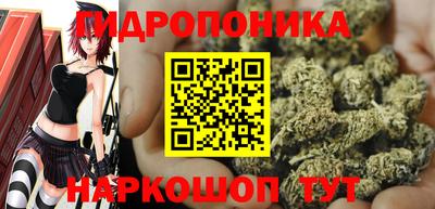 спайс Кандалакша