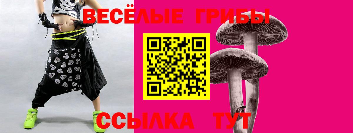 Псилоцибиновые грибы Psilocybine cubensis  Галлюциногенные грибы Psilocybe  Вход с VPN  Мариинск 